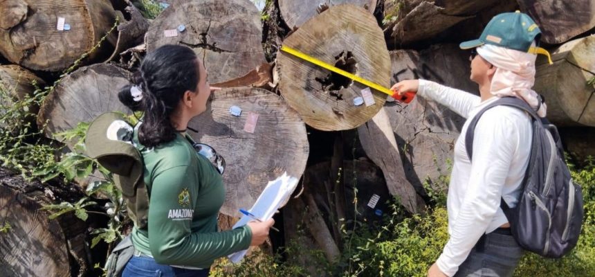 O Instituto de Proteção Ambiental do Amazonas (Ipaam) licenciou, em agosto, cinco Planos de Manejo Florestal Sustentável e quatro serrarias nos municípios de Manicoré, Novo Aripuanã, Presidente Figueiredo, Urucará e Itapiranga.